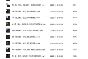 andy达芬奇调色进阶课1999