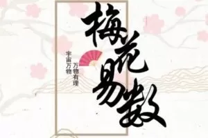 【捐赠[红包]2999.00·《AL5030- [半封课]古梅花易数》】