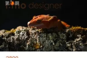 【捐赠[红包]59.99·《AL4913-一目学园·医学可视化教育平台-医学摄影网络班·第1期》】