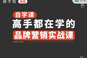 【捐赠[红包]19.99·《AL1717-刀法-品牌营销实战课》】