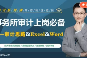 【捐赠53.9[红包]·《Z7787-吕新建事务所审计上岗必备—审计思路》】