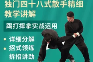 【捐赠69.8[红包]·《Z7818-太极拳独门四十八式散手精细教学及实战运用_太极郑佳琦》】