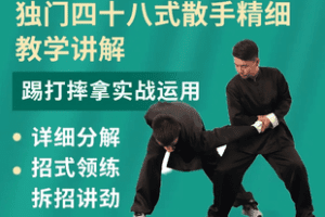 【捐赠69.8[红包]·《Z7818-太极拳独门四十八式散手精细教学及实战运用_太极郑佳琦》】