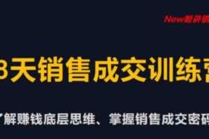 捐赠29.9[红包]·D0641-2023《new姐28天销售训练营》