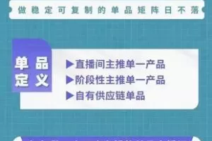 捐赠29.9[红包]·D0648-2023《大川电商11月3-4号线下课》