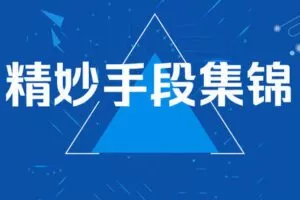 【捐赠44.0[红包]·《Z7832-蔡立斌围棋教研室精妙手段集锦》】