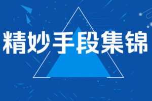 【捐赠44.0[红包]·《Z7832-蔡立斌围棋教研室精妙手段集锦》】