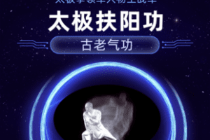 【捐赠29.8[红包]·《Z7878-扶阳功拳理王战军太极_王战军》】