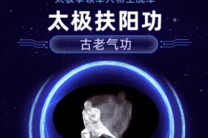 【捐赠29.8[红包]·《Z7878-扶阳功拳理王战军太极_王战军》】