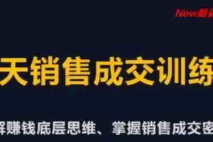 【捐赠29.9[红包]·《D0641-new姐28天销售训练营》】