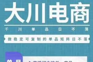 【捐赠29.9[红包]·《D0648-大川电商11月3-4号线下课》】