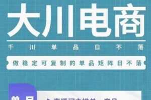 【捐赠29.9[红包]·《D0648-大川电商11月3-4号线下课》】