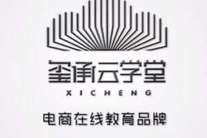 捐赠29.9[红包]·D0679-2023《大措施，实现电商团队的快速崛起》