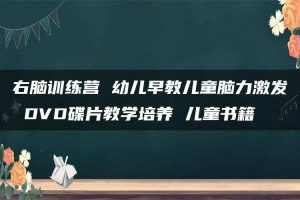 右脑训练营 幼儿早教儿童脑力激发 DVD碟片教学培养 儿童书籍