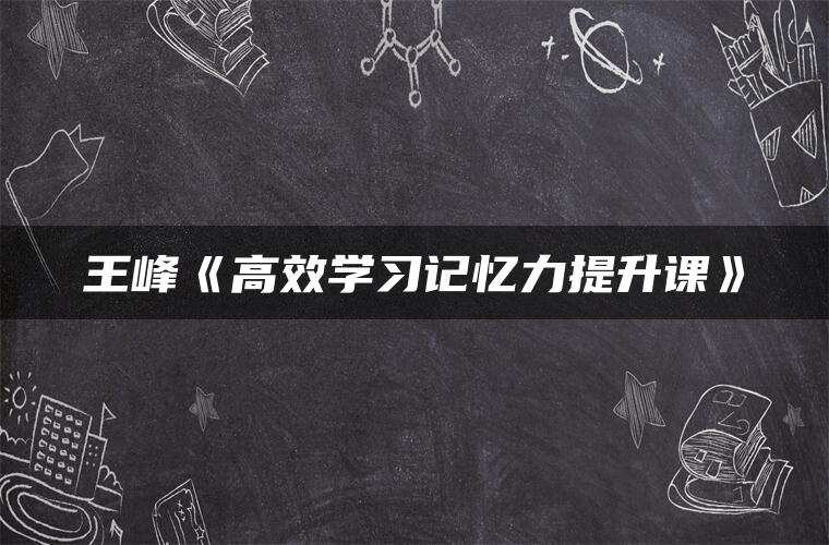 王峰《高效学习记忆力提升课》