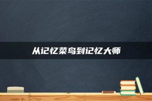 从记忆菜鸟到记忆大师