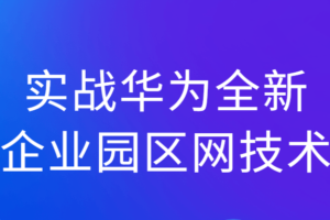 实战华为全新企业园区网技术