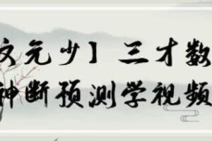 文元少 三才数字神断预测学视频 16集