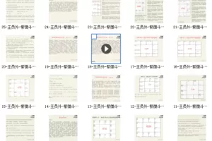 九龙道长-王员外斗数紫微斗数课程