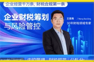 王葆青：企业财税筹划与风险管控