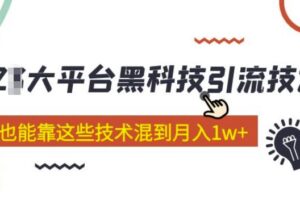大平台黑科技引流技术小白也能靠这些技术混到月入1w+(2022年的课程）