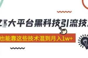 大平台黑科技引流技术小白也能靠这些技术混到月入1w+(2022年的课程）
