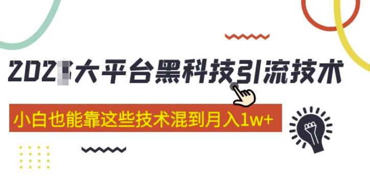 大平台黑科技引流技术小白也能靠这些技术混到月入1w+(2022年的课程）
