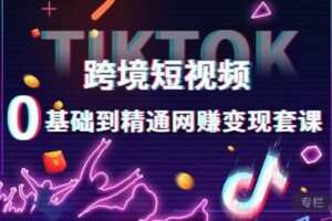 跨境短视频TIKTOK 0基础到精通网赚变现套课，跨境短视频独立站带货变现技巧