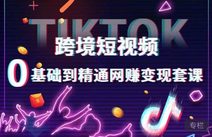 跨境短视频TIKTOK 0基础到精通网赚变现套课，跨境短视频独立站带货变现技巧