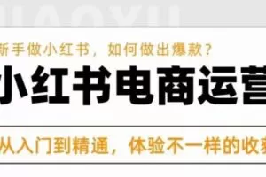 红商学院·小红书电商运营课，​新手做小红书如何快速做出爆款，从入门到精通，体验不一样的收货