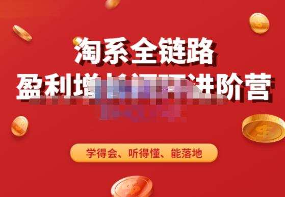 淘系全链路盈利增长闭环进阶营，融合全店动销，学得会、听得懂、能落地