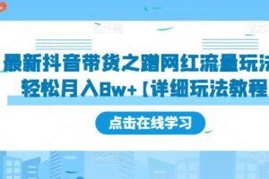 最新抖音带货之蹭网红流量玩法，轻松月入8w+【详细玩法教程】