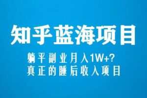 知乎蓝海玩法，躺平副业月入1W+，真正的睡后收入项目（6节视频课）