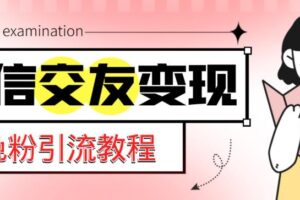 微信交友变现项目，吸引全网LSP男粉精准变现，小白也能轻松上手，日入500+