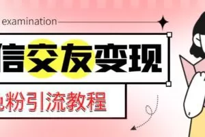 微信交友变现项目，吸引全网LSP男粉精准变现，小白也能轻松上手，日入500+