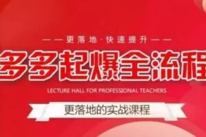 互力-多多新品打爆全流程，拼多多14天拉搜索自然流量，更落地·快速提升