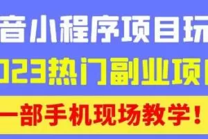 抖音小程序9.0新技巧，2023热门副业项目，动动手指轻松变现