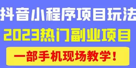 抖音小程序9.0新技巧，2023热门副业项目，动动手指轻松变现