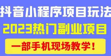 抖音小程序9.0新技巧,2023热门副业项目,动动手指轻松变现