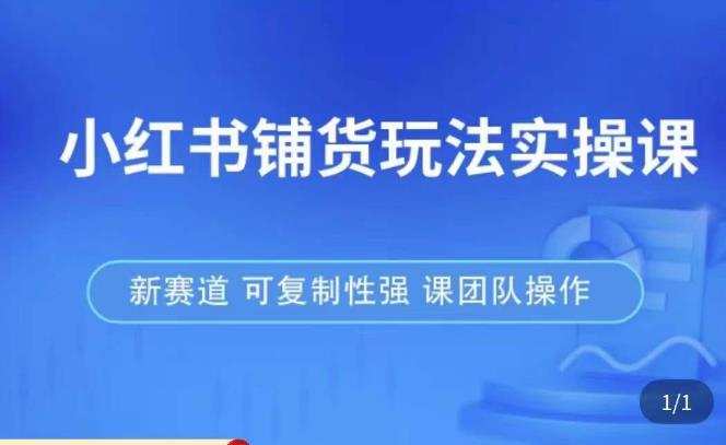 小红书铺货玩法实操课,流量大,竞争小,非常好做,新赛道,可复制性强,可团队操作