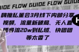 嗨推私董会3月线下内部分享视频，流量新破局、无人直播导流20w到私域、快团团等太香了