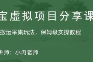 淘宝虚拟整店搬运采集玩法分享课：整店搬运采集玩法，保姆级实操教程