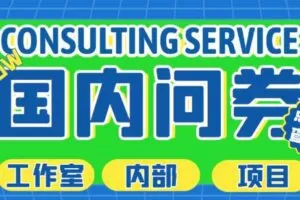 最新工作室内部国内问卷调查项目，单号轻松日入30+多号多撸【详细玩法教程】