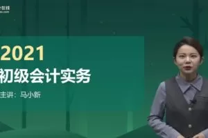 东奥会计在线-马小新 2021初级会计实务