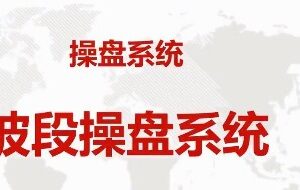 量学云讲堂 智量客王晓利第2期 30视频+3指标 2021年