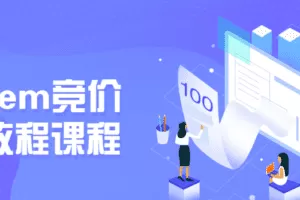 赵阳sem竞价培训教程课程