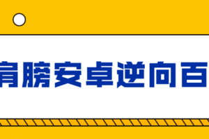 小肩膀安卓逆向百集完整版