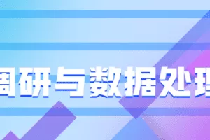 市场调研与数据处理技术