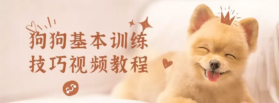 1635401646 狗狗基本训练技巧视频教程