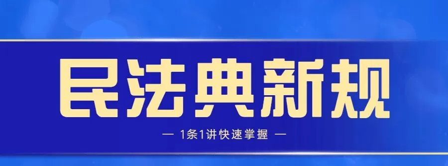 1635403365 民法典新规1条1讲快速掌握